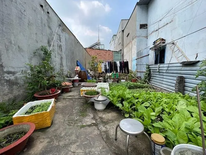 P. Linh Tây, Gần Pvđ, Đhcs, Hxh 1 Trục 71 M2 Full Thổ Cư Chỉ 4.3 Tỷ .