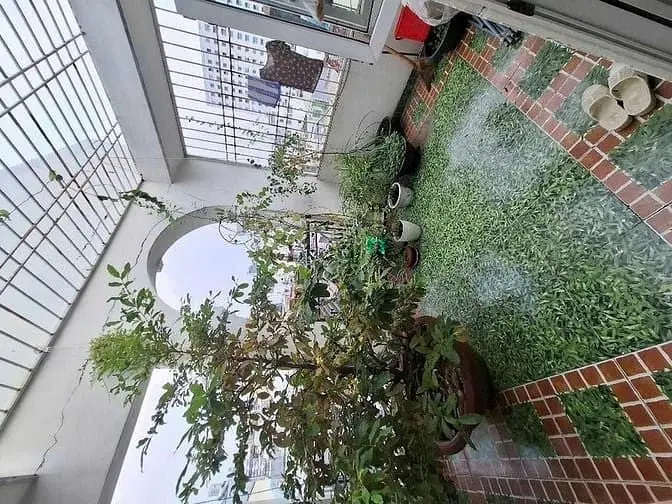 Nhà Đẹp Hẻm Xe Hơi 7M - Khu Bàn Cờ Trần Thị Trọng