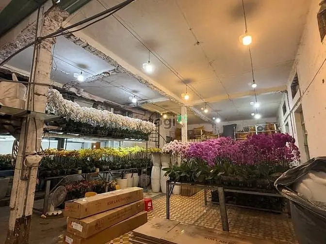 Cho Thuê Nhà 479 Lê Hồng Phong, Phường 2, Quận 10.