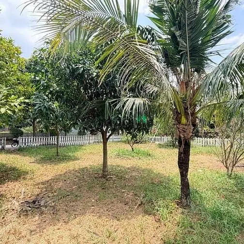 Chính Chủ Gửi Bán Căn Biệt Thự Góc 2 Mặt Tiền Dự Án Bắc Rạch Chiếc