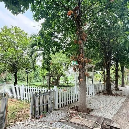 Chính Chủ Gửi Bán Căn Biệt Thự Góc 2 Mặt Tiền Dự Án Bắc Rạch Chiếc