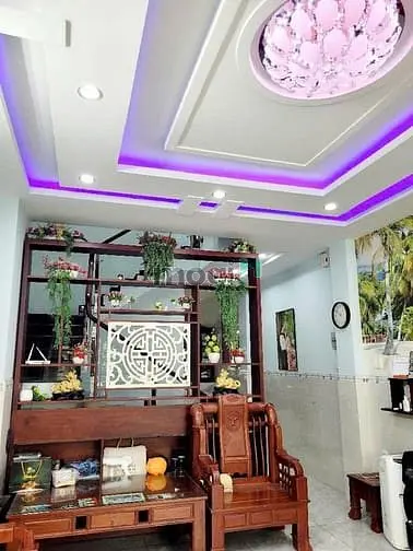 Nhà Hẻm Xe Hơi - Cách Mặt Tiền Nguyễn Hồng Đào 20M - Bàu Cát