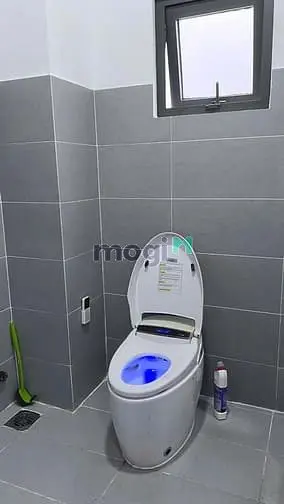 Chủ Cần Bán Gấp, Hxh Trường Chinh P.12 Q.tb Giá 1,480Tr(Tl) 3.1X15M