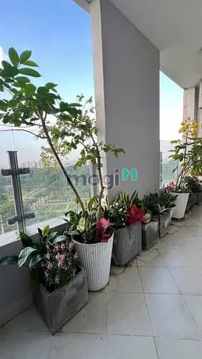 Nhà Đẹp, View Công Viên Chung Cư Garden Gate Full Đồ Giá 20Tr/Th.