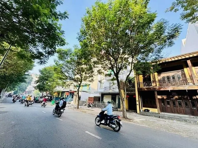 Cho Thuê Mt Trần Cao Vân 12M – Ngang Lớn + Vỉa Hè Rộng Hiếm Gặp
