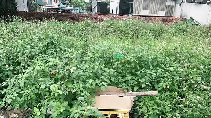 Hơn 3 Tỷ Nhỏ – Sở Hữu Ngay Lô Đất Đẹp Đông Anh Dt 52M² Full Thổ Cư –