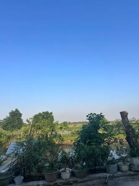 Nhà Trọ Hòa Thúy Mới Xây Giá 1Tr2