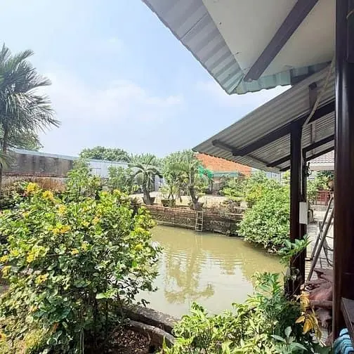 Nhà Vườn 2.000M² – Không Gian Xanh Giữa Lòng Sài Gòn