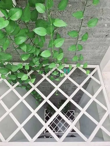 Bán Nhà Vị Trí Đẹp Hẻm Trần Minh Quyền,Q10 49.5M2 Giá 1.4T Sổ Sẵn Tl