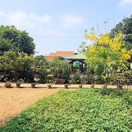 Nhà Vườn 2.000M² – Không Gian Xanh Giữa Lòng Sài Gòn