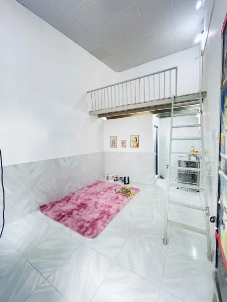 Khai Trương Dãy Trệt Ngay Tân Kỳ Tân Quý Giá Rẻ Ở Liền