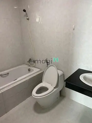Cho Thuê Chung Cư Hoàng Anh Thanh Bình Q.7 Dt 113M2 Có 3Pn Giá 13 Trệu