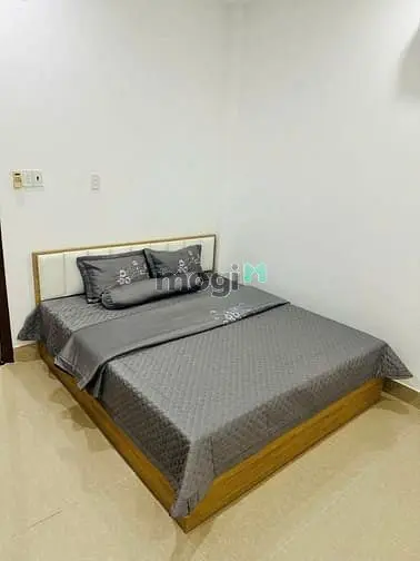 Cho Thuê Biệt Thự Mini Giá Tốt