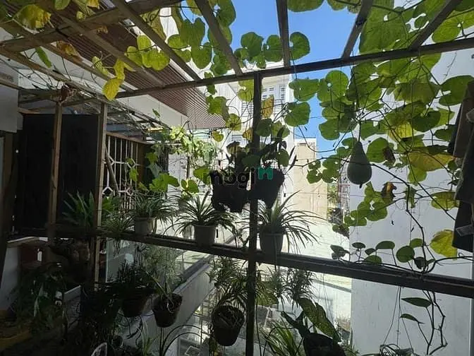 Ngang 8M- Hẻm 2 Oto Tránh Nhau- Khu Phân Lô Phạm Văn Chiêu Chỉ 9 Tỷ