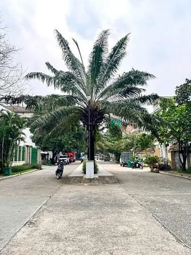 Siêu Hiếm !!! Biệt Thự Hồ Bơi 450 M2, 2 Lầu Ngay Lương Định Nhỉnh 1Xx