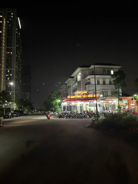 Cho Thuê Nhà Kdc Cát Lái Q2 Đường Rộng 22M, Đối Diện Cụm Chung Cưrất Đông Đúc, Kinh Doanh Vạn Nghề