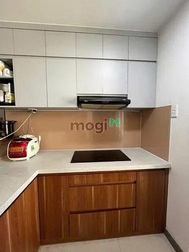 Chung Cư Bàu Cát, Hồng Lạc, Tb: 2P Ngủ, Ntcc, 10,5Tr/Th, 75M2