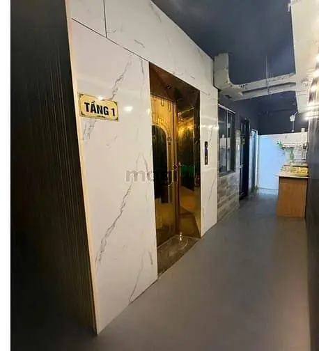 Chdv Hơn 49Tỷ Dts 1317M2 Hxt Nguyễn Văn Khối Nở Hậu 20M 6L 70P Dt 300T