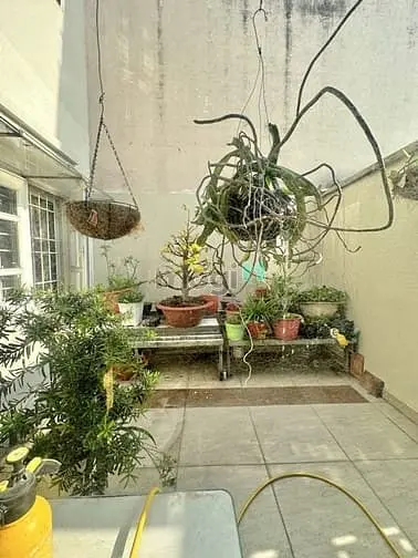 Mtkd Khu Vip Họ Lê - Phú Thọ Hòa, Dt 106M2, 3Tầng + St Chỉ 11 Tỷ 3 Tl