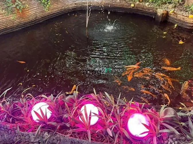 Sang Quán Cafe Sân Vườn, Tam Bình, Phường Tam Bình, 38X31M, 29Tr/Tháng