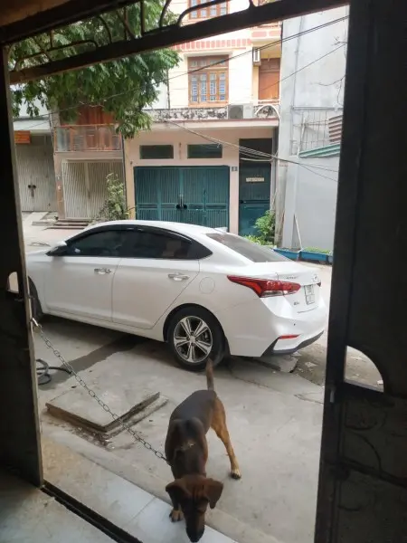 Chính Chủ Cho Thuê Nhà 3 Tầng Để Ở Gia Đình Hoặc Văn Phòng