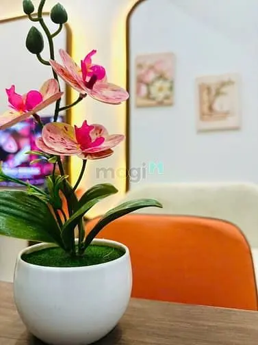 Phòng Full Nội Thất, Thiết Kế Đẹp, Khu K300 Tân Bình