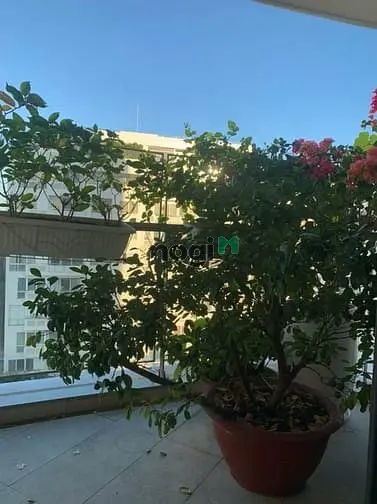 Xuất Cảnh Cần Bán Gấp Căn Hộ Cao Cấp Riverpark Premier