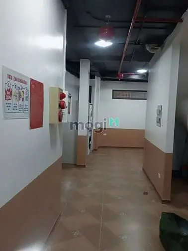 Nhà Đẹp Lương Khánh Thiện 40M² X 6 Tầng – Ở Trung Tâm, Cho Thuê Tốt