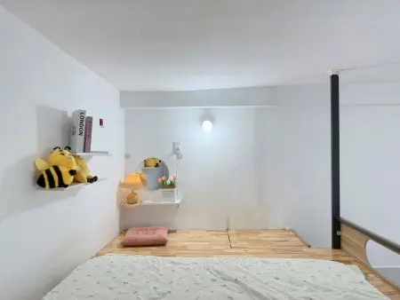 Duplex Ban Công Full Nội Thất Ngay Trung Tâm Tân Bình