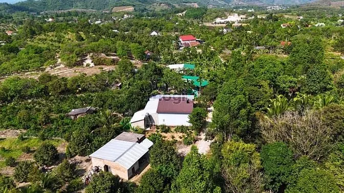 Bán Đất Gần Ubnd Xã Triệu Hải, Trường – Chợ – Chỉ 200 Triệu