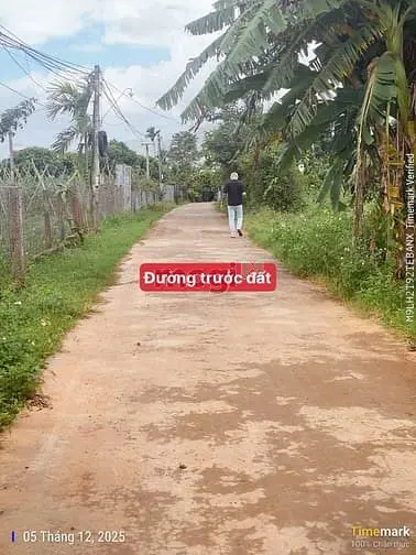 Bán Đất View Hồ Đội 56 Eaning – Cưkuin – Đaklak Giá 179 Triệu