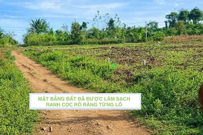 Bán Đất Full Thổ Cư 150M2 Tại Eakie Giá Chỉ 200 Triệu