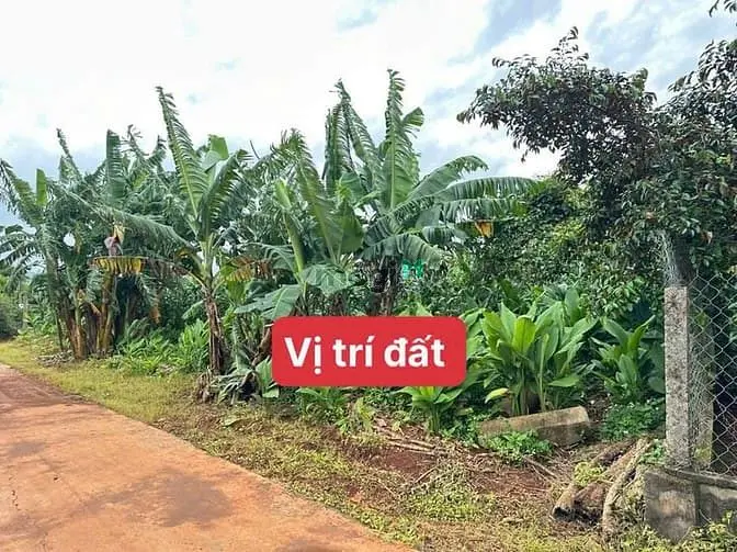 Bán Đất View Hồ Đội 56 Eaning – Cưkuin – Đaklak Giá 179 Triệu