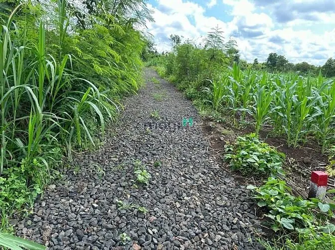 Bán Đất Tam Giang - Krông Năng-Đắk Lắk