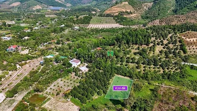 Bán Đất Gần Ubnd Xã Triệu Hải, Trường – Chợ – Chỉ 200 Triệu