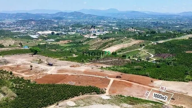 Bán Đất 1000 M2 Lâm Hà, Lâm Đồng Giá Chỉ 699Tr