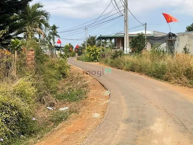 Bán Đất 266M2 Có 60M Thổ Cư Đất Đỏ Bazan 40 Góc Café Đang Thu Giá 289