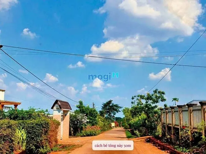 Bán Đất Phường Cư Bao, Đaklak Giá 399 Triệu Chủ Cần Tiền Hạ Giá Bán G