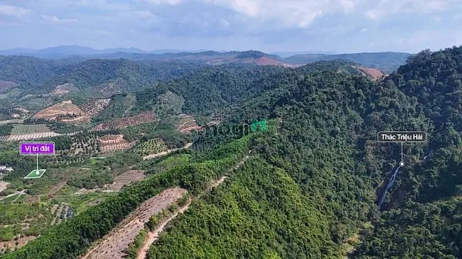 Bán Đất Thổ Cư Đạ Tẻh – Giá 195 Triệu , Gần Kdc, Không Gian Yên Bình