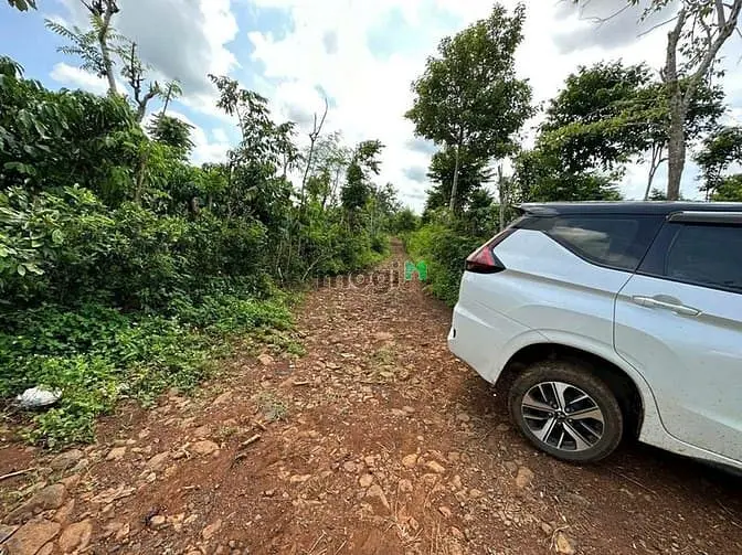 Bán Đất Tam Giang - Krông Năng-Đắk Lắk