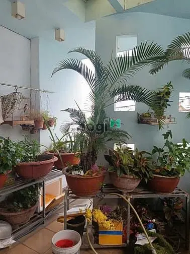 Bán Nhà Mặt Tiền Cách Mạng - Đường 12M Vỉa Hè - Tân Thành - 4 Tầng