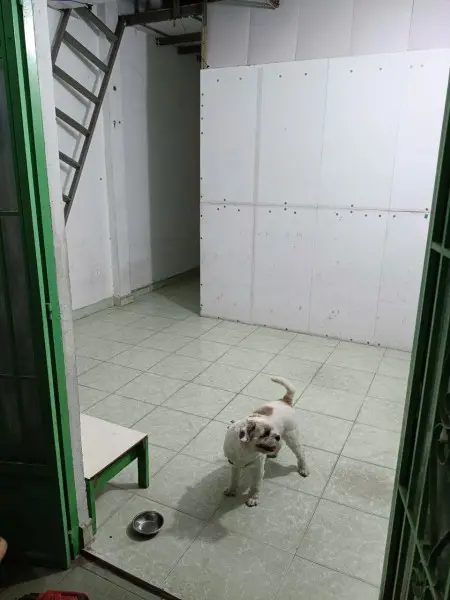 Nhà Nguyên Căn Giá Rẻ Ngay Ngã Tư Gò Mây