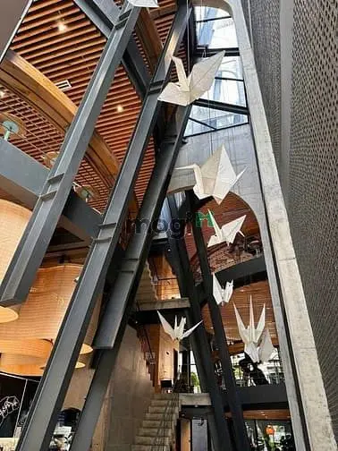 Bán Góc 2 Mặt Tiền Ngay Trường Sa, Quận Bình Thạnh - 9.55X22M - 3 Tầng