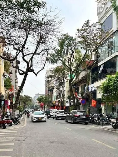 Hiếm| Mặt Phố Đường Thành | 35M2 X 4 Tầng | Mt 4.2M | Giá 40 Tỷ