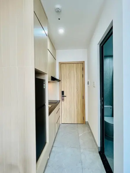 Cho Thuê Studio Ban Công Quận 7 Full Nt Mới 100% Gần Trường Rmit , Tôn Đức Thắng , Lotte