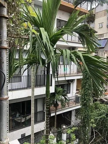 Nguyễn Văn Cừ Long Biên – Ô Tô – 136 M2 – 3 T – Mt 8.4 M – Giá 33.8 Tỷ