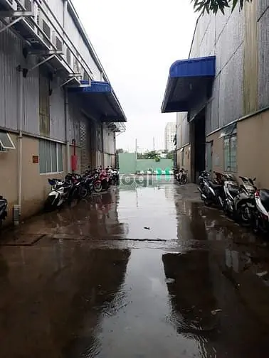 Cho Thuê Kho 260M2 Riêng Biệt, Mặt Tiền, Sân Rộng, Xe Tải Cont Đậu Tốt