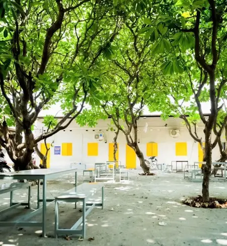 Cho Thuê Phòng Trọ Giá Rẻ 36 Ql1A, Linh Xuân An Ninh, Sạch Sẽ