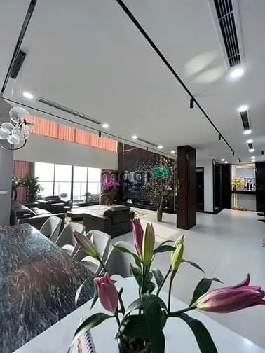 Sieeu Phẩm Penthouse Đẳng Cấp, Diện Tích Khủng 351M2, Full Nội Thất
