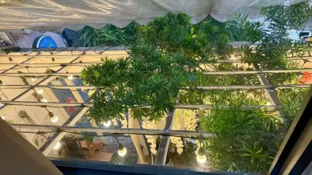 Cho Thuê Sleepbox Quận 1 – Full Tiện Nghi Đại Học Sân Khấu Điện Ảnh Tp.hcm → ~0.2 Km (Đi Bộ 2–5)